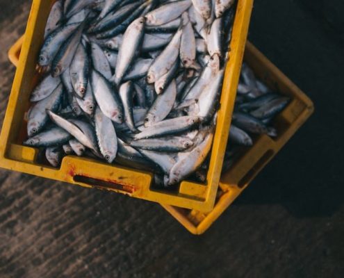 Como-Descongelar-carne-pescado-pan