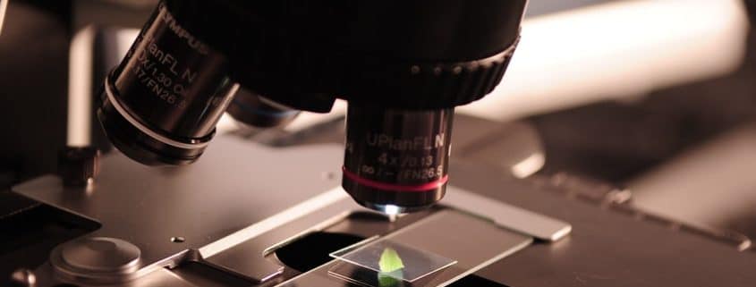Qué es la listeria o listeriosis