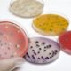 Analisis Listeria en Alimentos