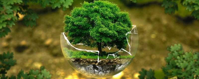 certificar productos ecologicos