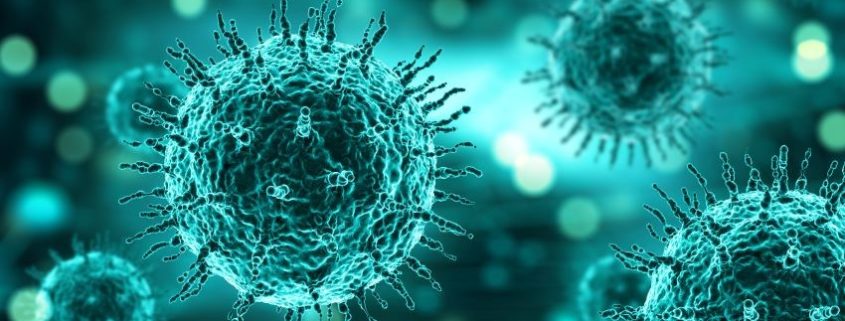 Zoonosis coronavirus