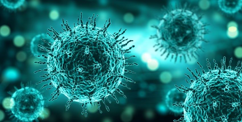Zoonosis coronavirus