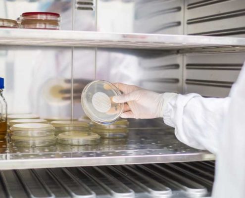 Estudio de Vida Util de ALimentos 2