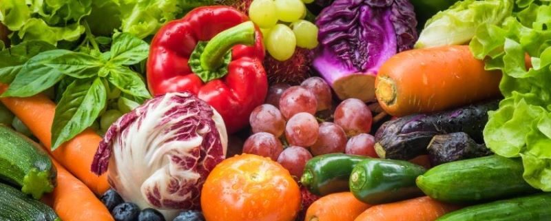 Métodos de conservación de alimentos