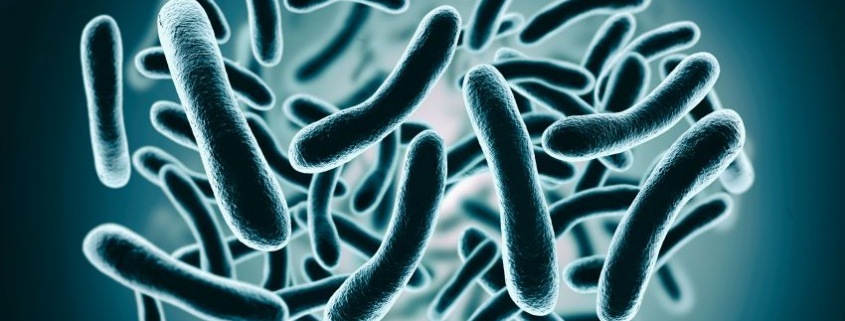 Biofilms en alimentos