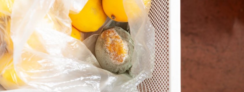 Cómo evitar el moho en los alimentos