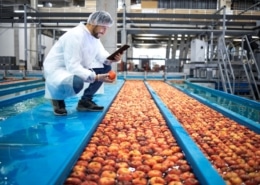 producto alimenticio