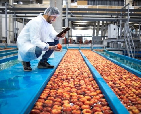 producto alimenticio