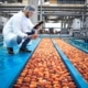 producto alimenticio