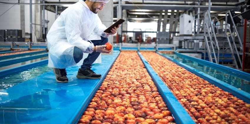 producto alimenticio