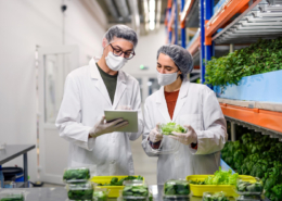 inocuidad alimentaria