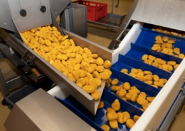 Procesado de alimentos