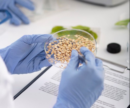 analisis nutricional alimentos