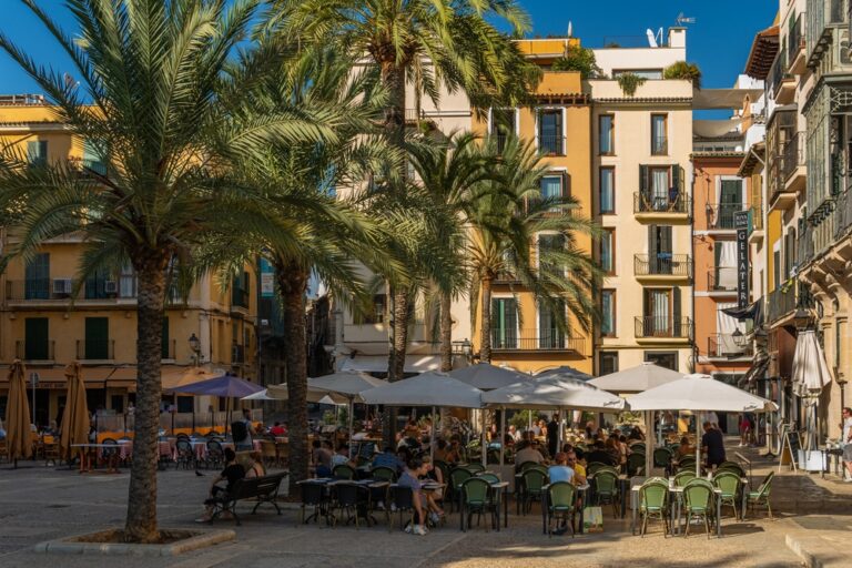 registro sanitario palma de mallorca