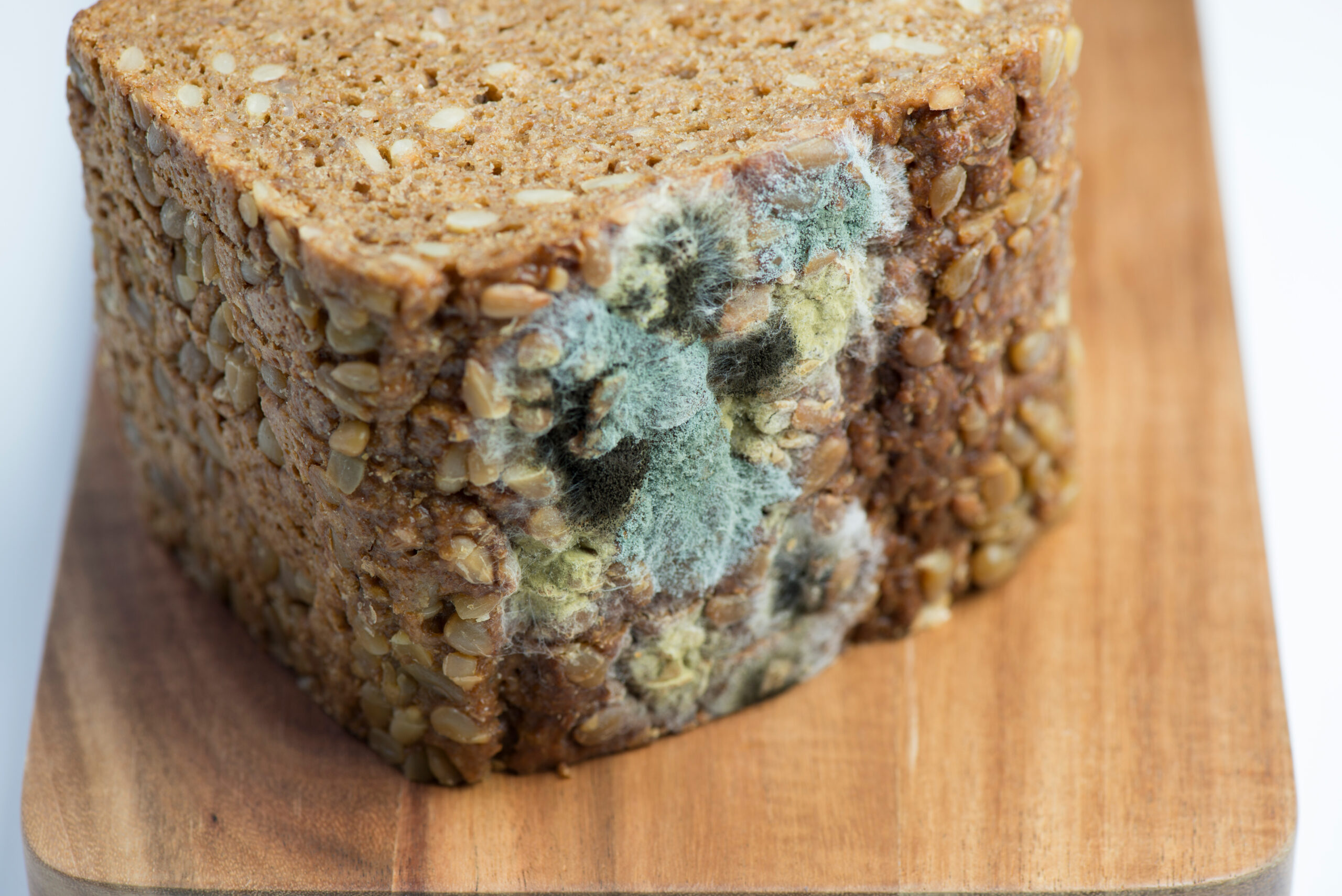 Investigación de brotes alimentarios.