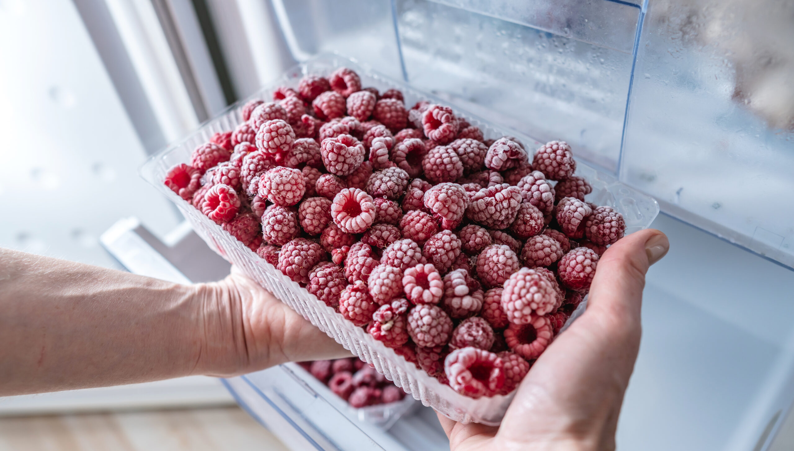 congelación de alimentos