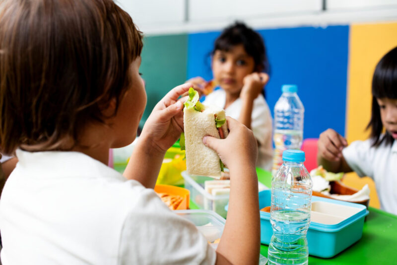 real decreto 315/2025